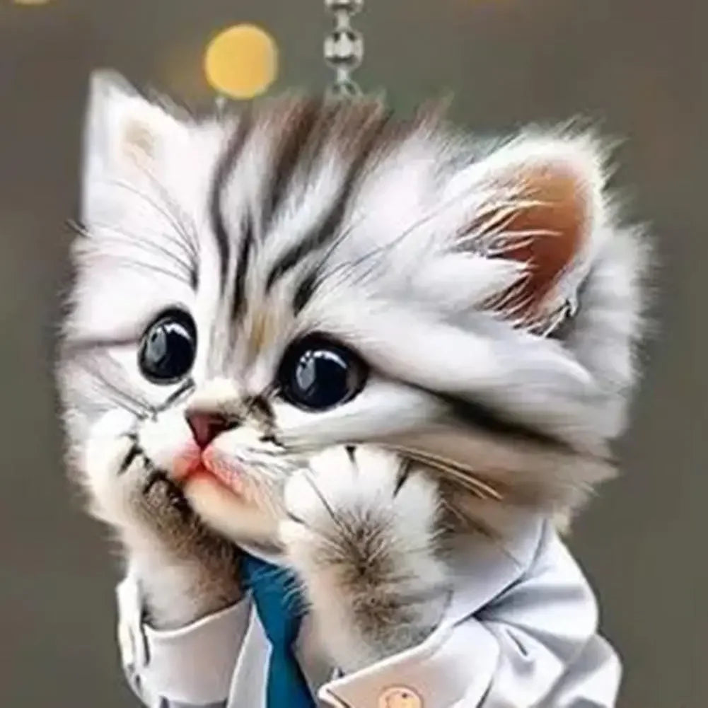 Car Interior Accessories